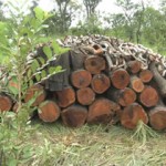 I’ll respect Court’s verdict – President Mahama