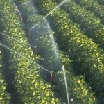 AFD finances District Development Facility