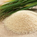 USAID prepares farmers for this year's farming season