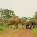 Ghana to hold Renewable Energy Conference