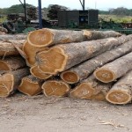 USAID-ADVANCE project empowers women in agriculture