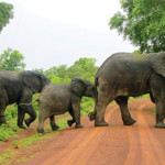 Vice President Calls For Increased Trade Between Ghana And Cuba