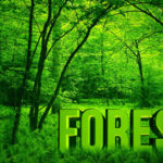 ECOWAS To Hold Meetings On Sustainable Energy In Accra