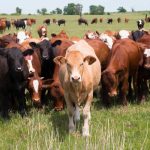 USAID Refurbishes Five Model CHPS Compounds In The Ashanti Region