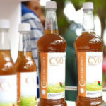 Tanzania Reopened Its Skies For International Flights Amid COVID-19