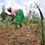 Promote Social Norms That Reject Child Marriage – UNFPA Urges Traditional Leaders