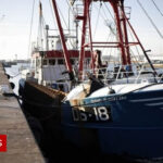 Pope Urges ‘Radical’ Climate Response In Exclusive BBC Message