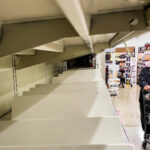 Climate Change Causing Albatross Divorce, Says Study