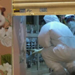 Covid: WHO Warns Pandemic Not Over Amid Europe Case Records