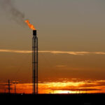 CODA Explores Partnership With Korean Businesses