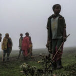 Former Central Africa Militia Head Handed Over To ICC: Court