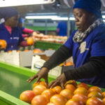 Africom Commander Warns Against Neglect Of Africa