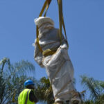 Ghana Gets $27.9m Grant From African Devt Fund