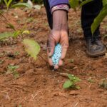 Ukraine War: Nato Pledges To Provide More Weapons And Fix power Grid