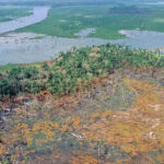 Spain Under Pressure Over Migrant Deaths On Moroccan Border