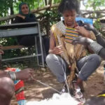 British-Ghanaian UK First Children Prime Minister