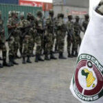 Ghana Government Gets $200m World Bank Financing To Upscale Coconut Production, Other Tree Crops For Export