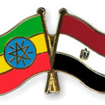 Local Businesses Should Expand Using AfCFTA – Akufo-Addo