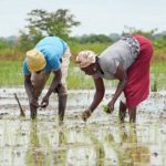 We Still Welcome You – U.S. Embassy Reassures Ghanaians Amid Travel Ban Reports