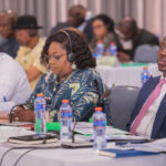 African Union to push for bigger voice on world stage at UN meeting