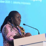 Mahama urges African countries to focus on minerals processing locally